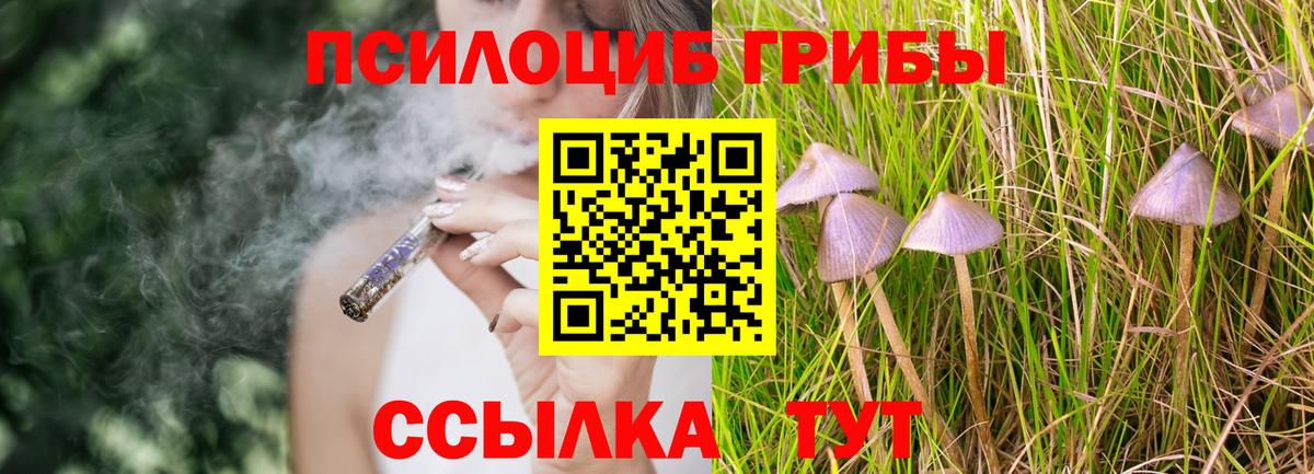 Галлюциногенные грибы Psilocybe  Вход с VPN  Воркута 