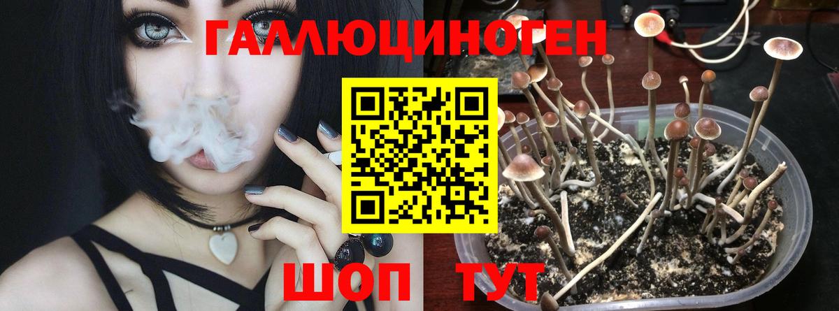 Псилоцибиновые грибы мухоморы  Воркута  наркошоп  Галлюциногенные грибы ЛСД 