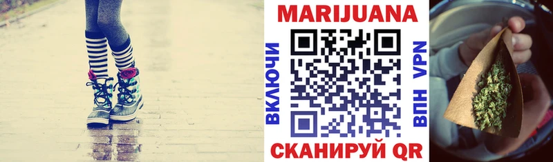 Конопля сатива  Воркута 